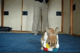 real footage of me